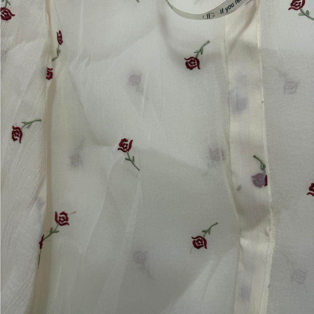 Chic Sheer Blouse with Red Floral Accents and skirt - Picture 5 of 7